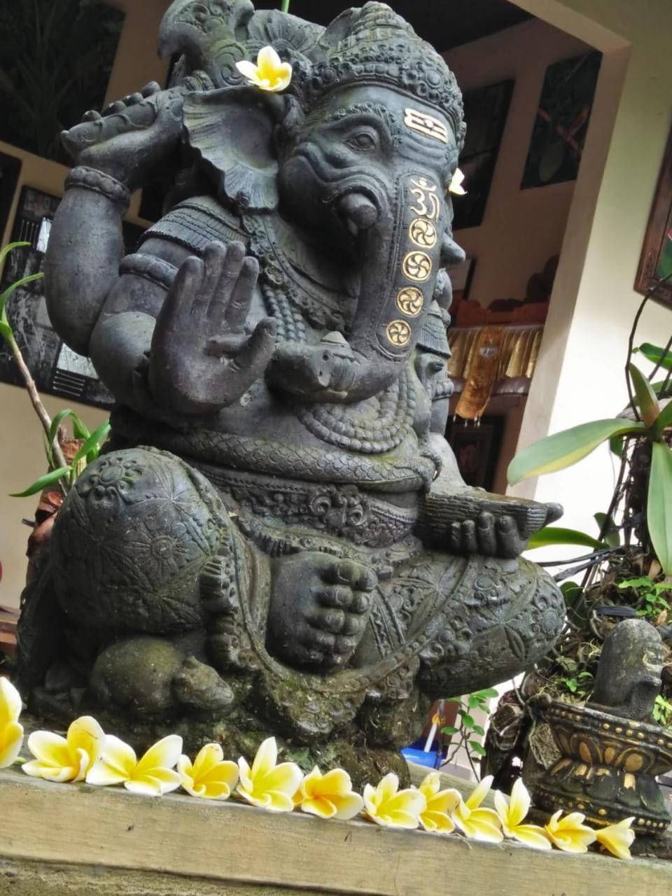 Lionk Bali House Bed and Breakfast Ubud Buitenkant foto