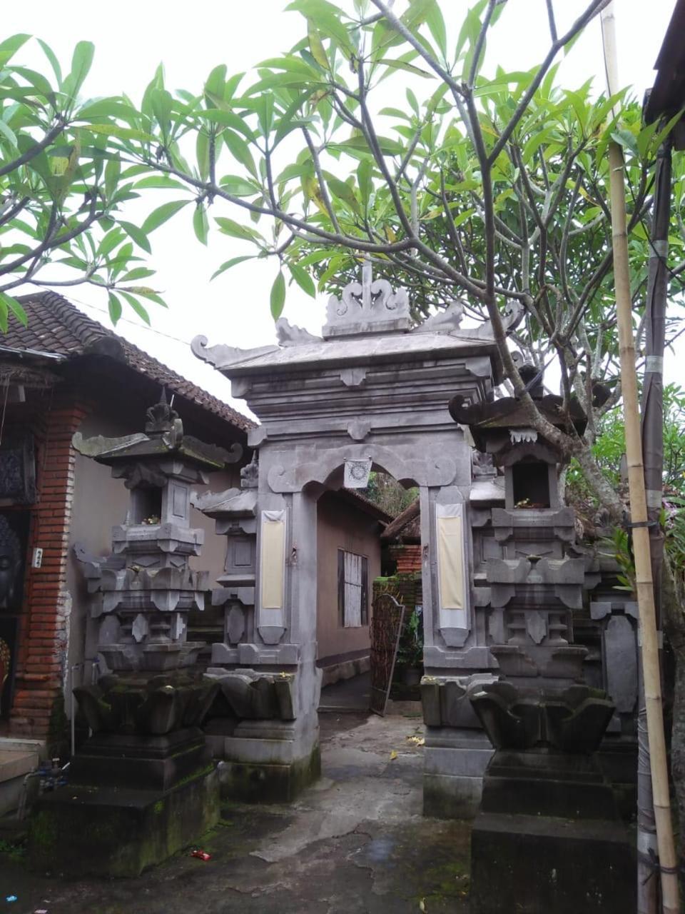 Lionk Bali House Bed and Breakfast Ubud Buitenkant foto